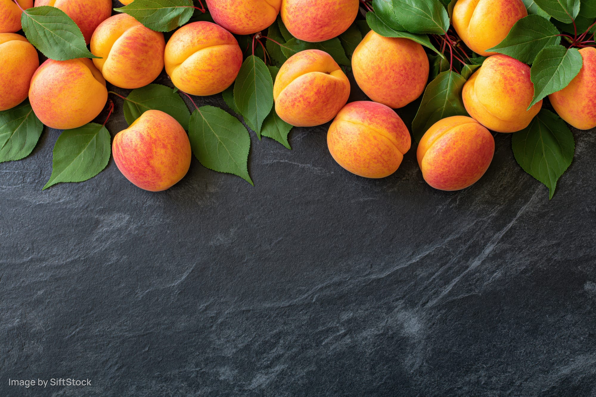 Fresh apricots with green leaves arranged along the top of a dark slate surface