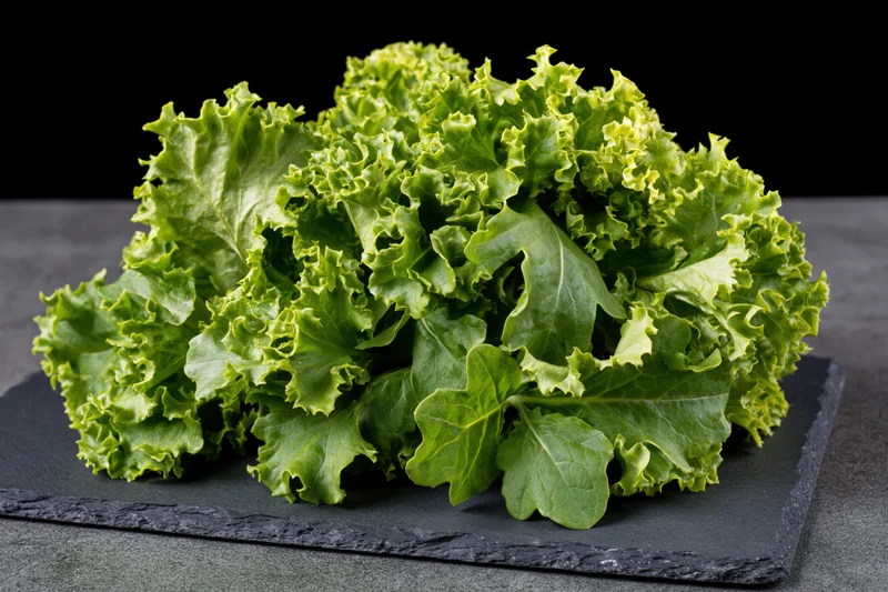 Fresh green oak leaf lettuce resting on a dark slate surface