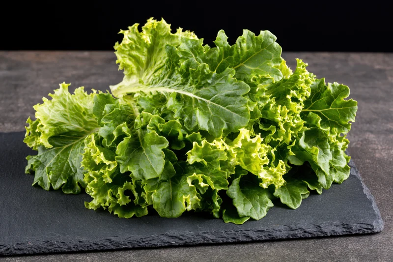 Fresh oak leaf lettuce resting on a dark slate surface