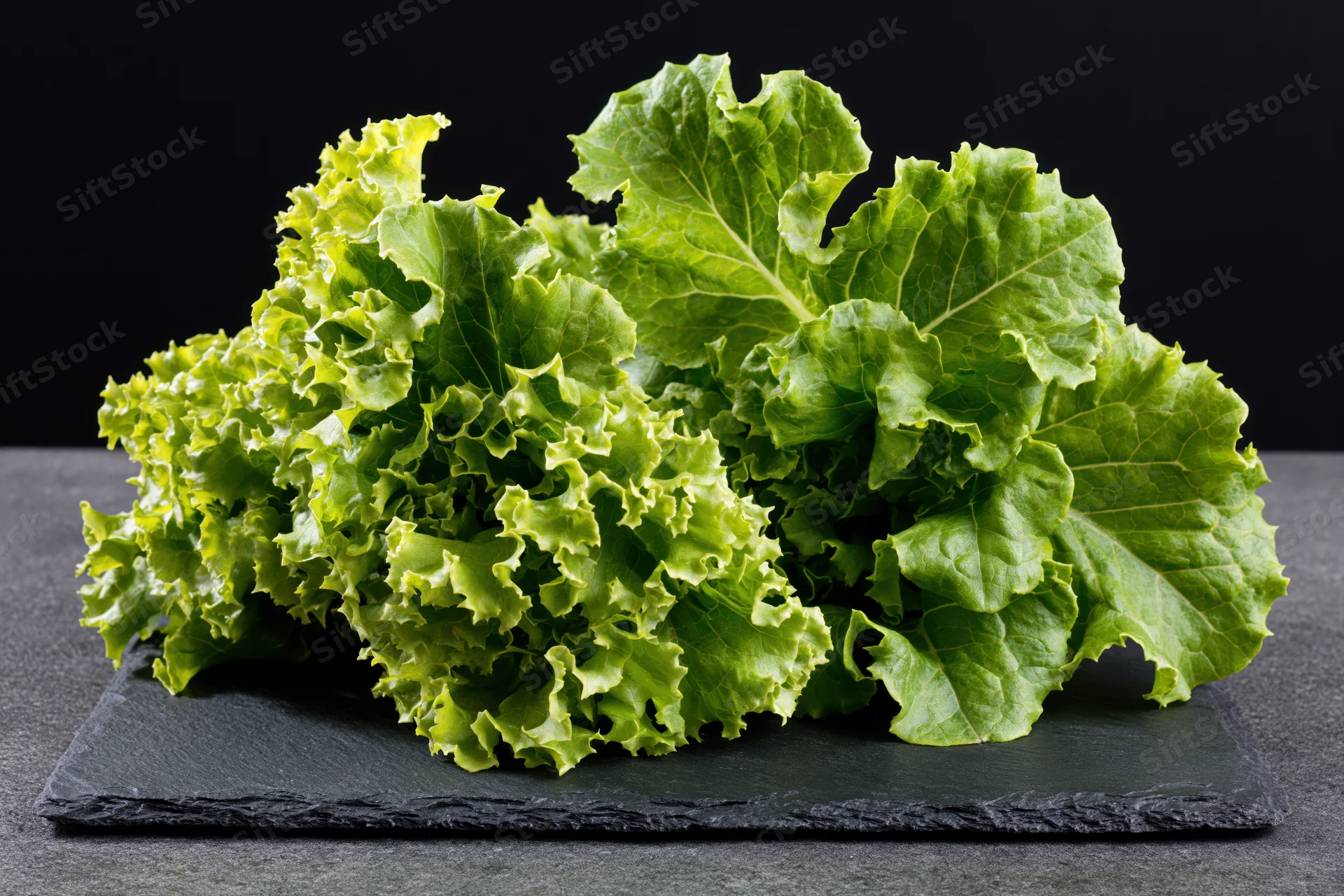 Fresh oak leaf lettuce heads resting on a dark slate surface