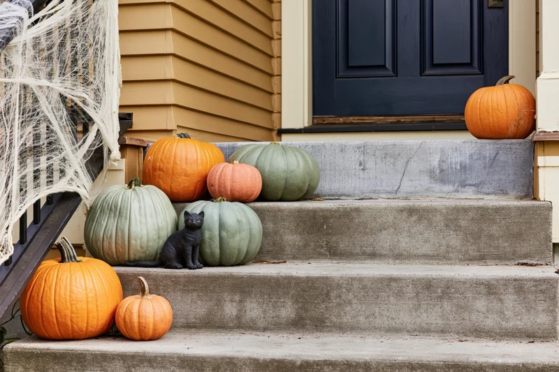 Halloween pumpkins and a black cat arranged on front porch steps with cobwebs and house siding visible