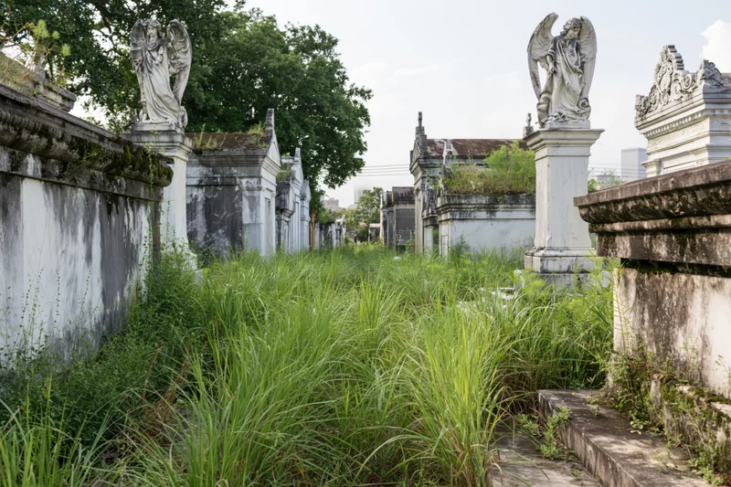 Overgrown cemetery path lined with historic marble mausoleums and angel statues