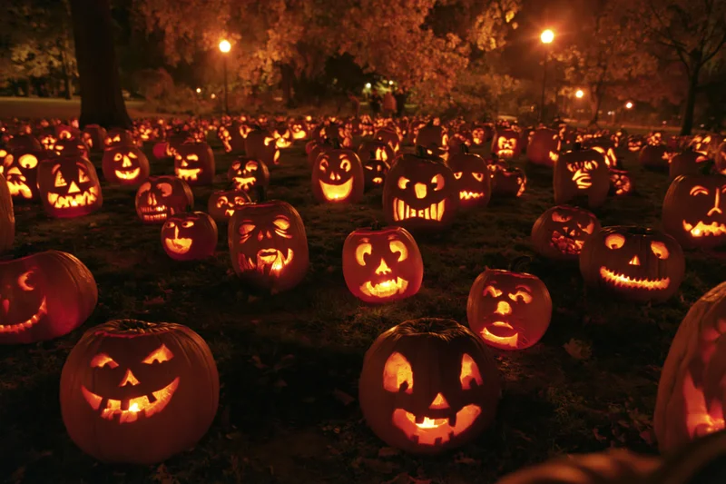 Numerous carved jack-o-lanterns glowing in a dark park at night