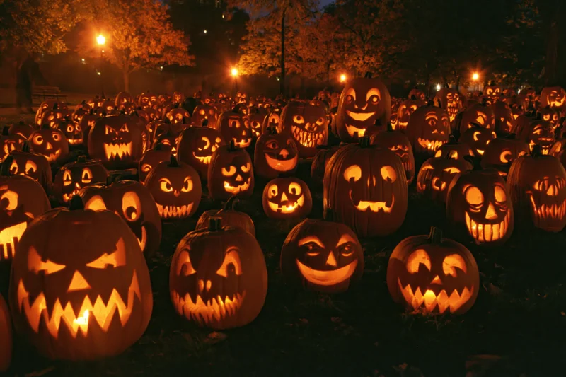 Large group of carved jack-o-lanterns glowing in a dark outdoor park at night