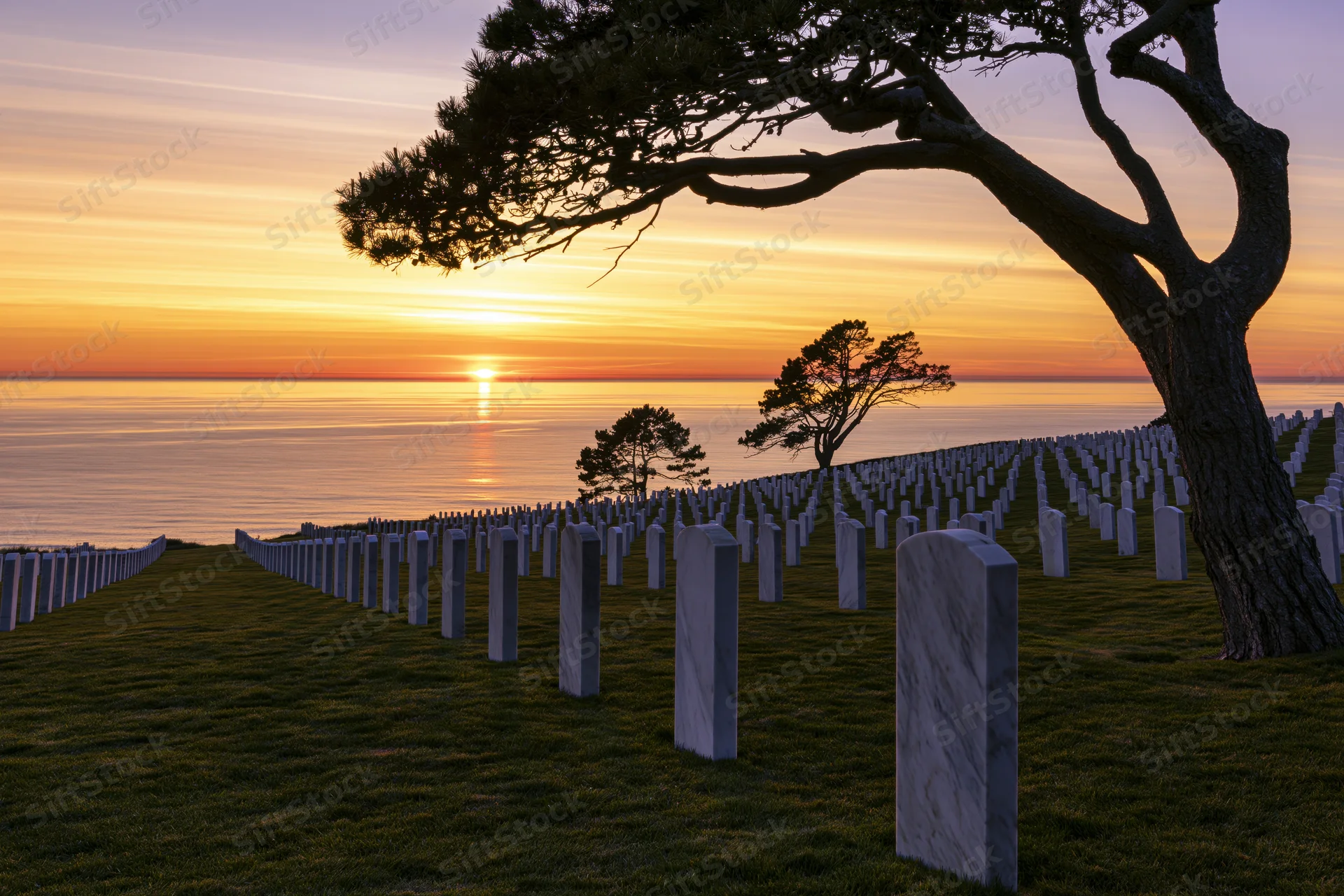 Rows of white headstones in a military cemetery on a coastal hillside at sunset with ocean and silhouetted trees