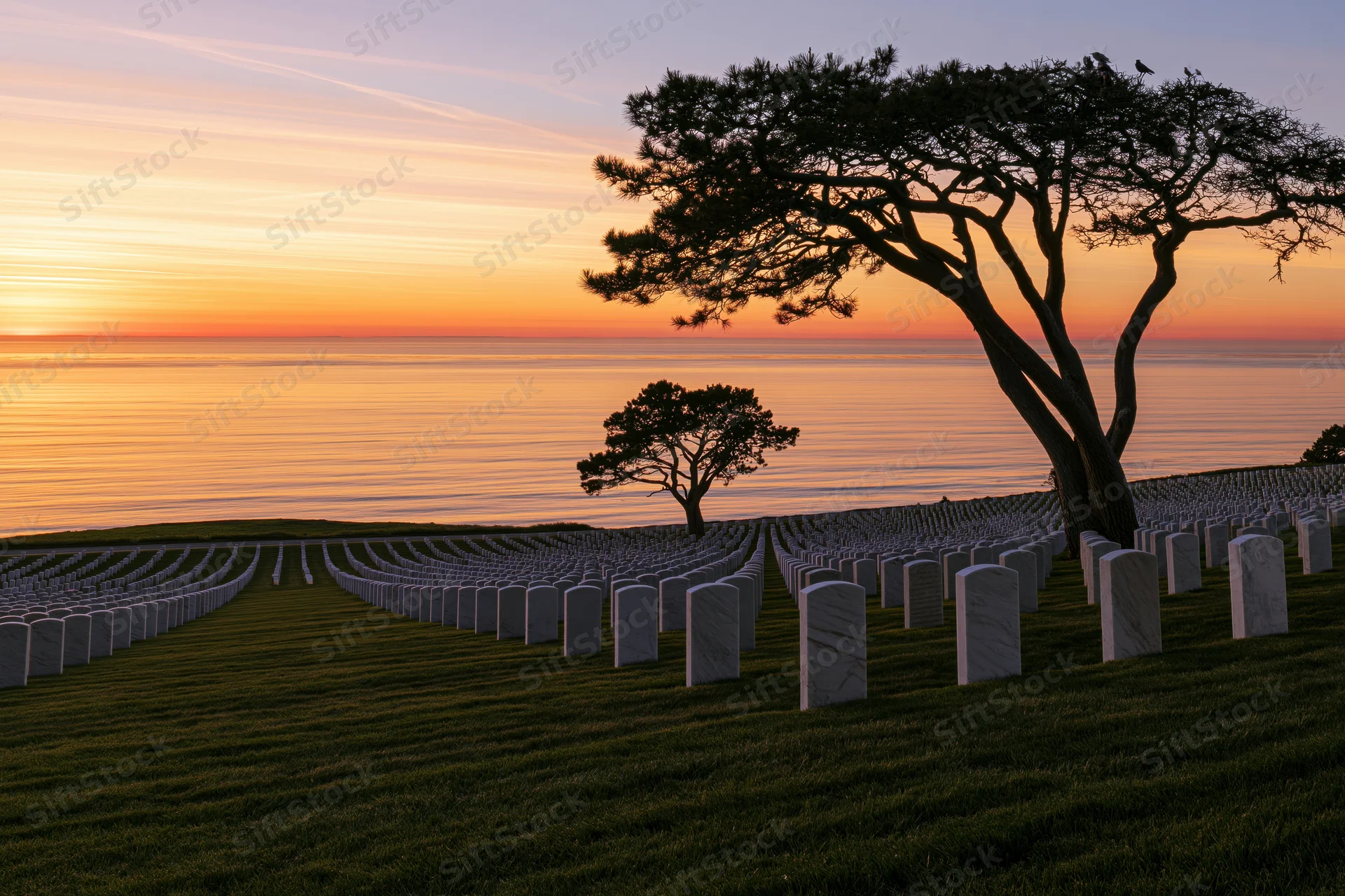 Rows of white headstones in a military cemetery on a coastal hillside at sunset with silhouetted trees and ocean horizon