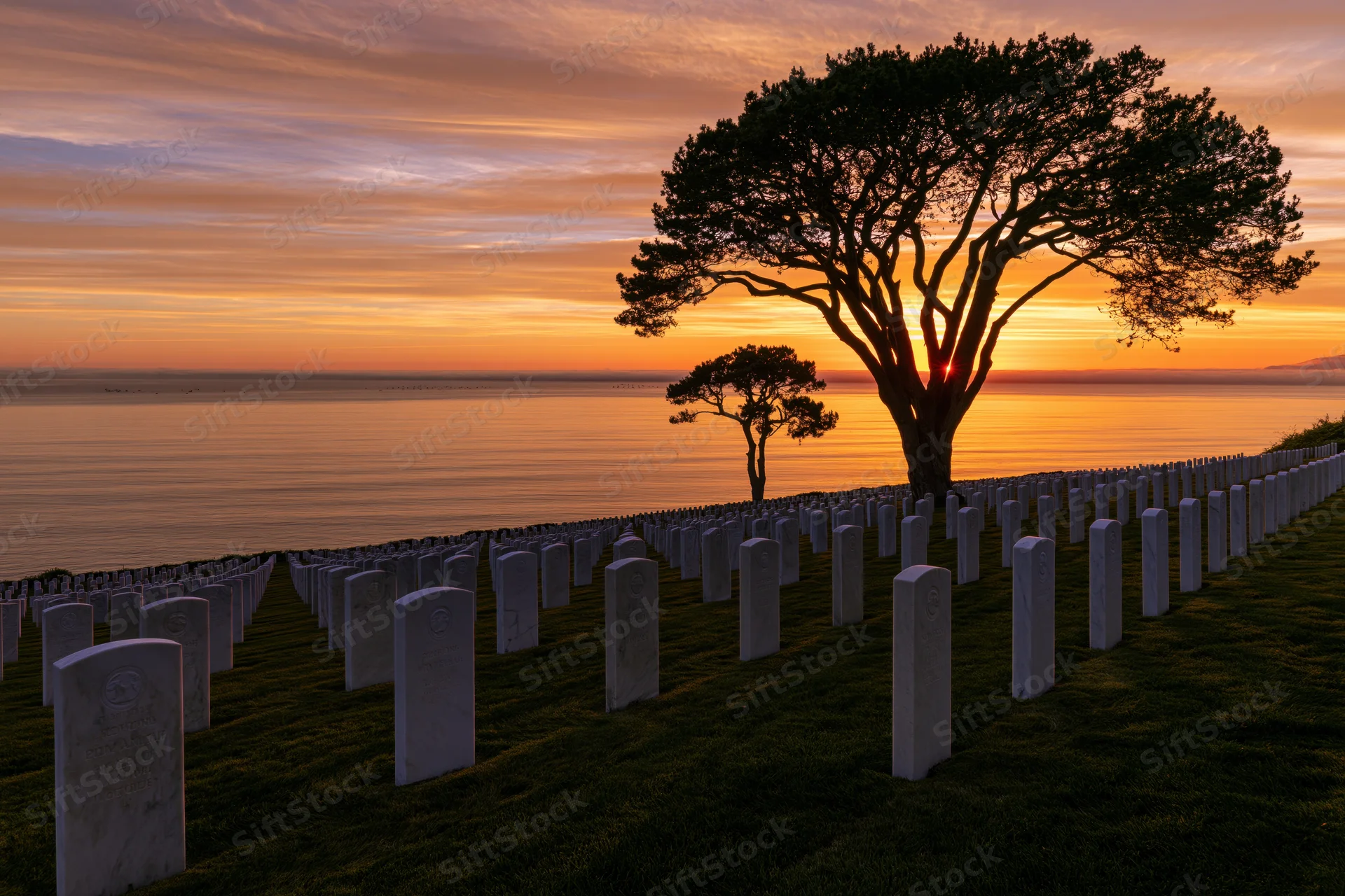 Rows of white headstones in a military cemetery on a coastal hillside at sunset with a silhouetted tree and ocean in the background