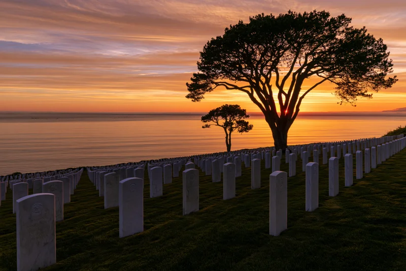 Rows of white headstones in a military cemetery on a coastal hillside at sunset with a silhouetted tree and ocean in the background