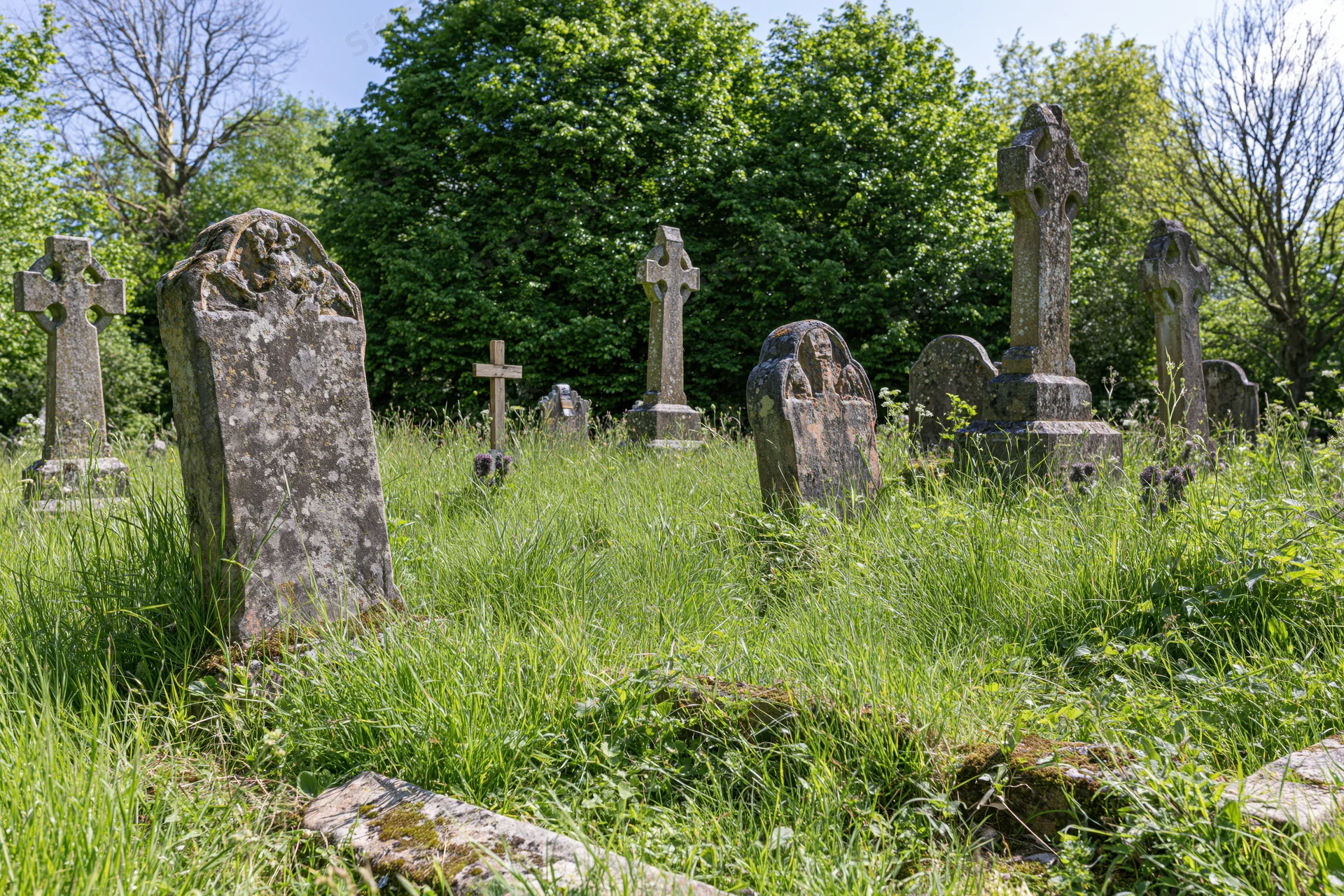 Weathered stone crosses and gravestones in a grassy rural cemetery surrounded by trees
