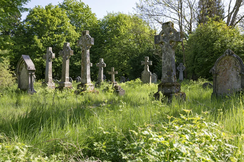 Weathered stone crosses and tombstones in an overgrown british cemetery surrounded by green trees and tall grass