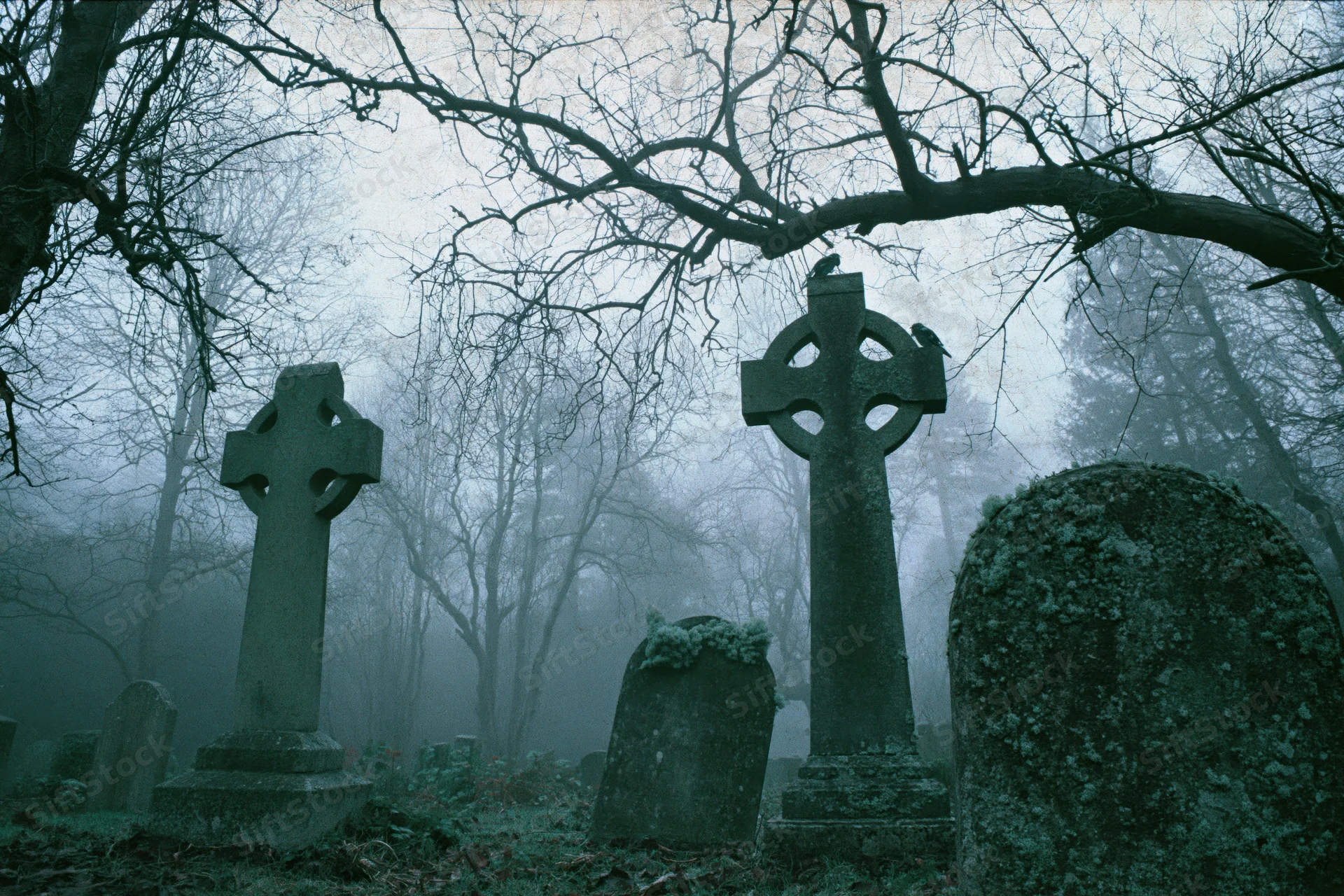 Weathered celtic crosses and gravestones in a foggy cemetery surrounded by bare trees