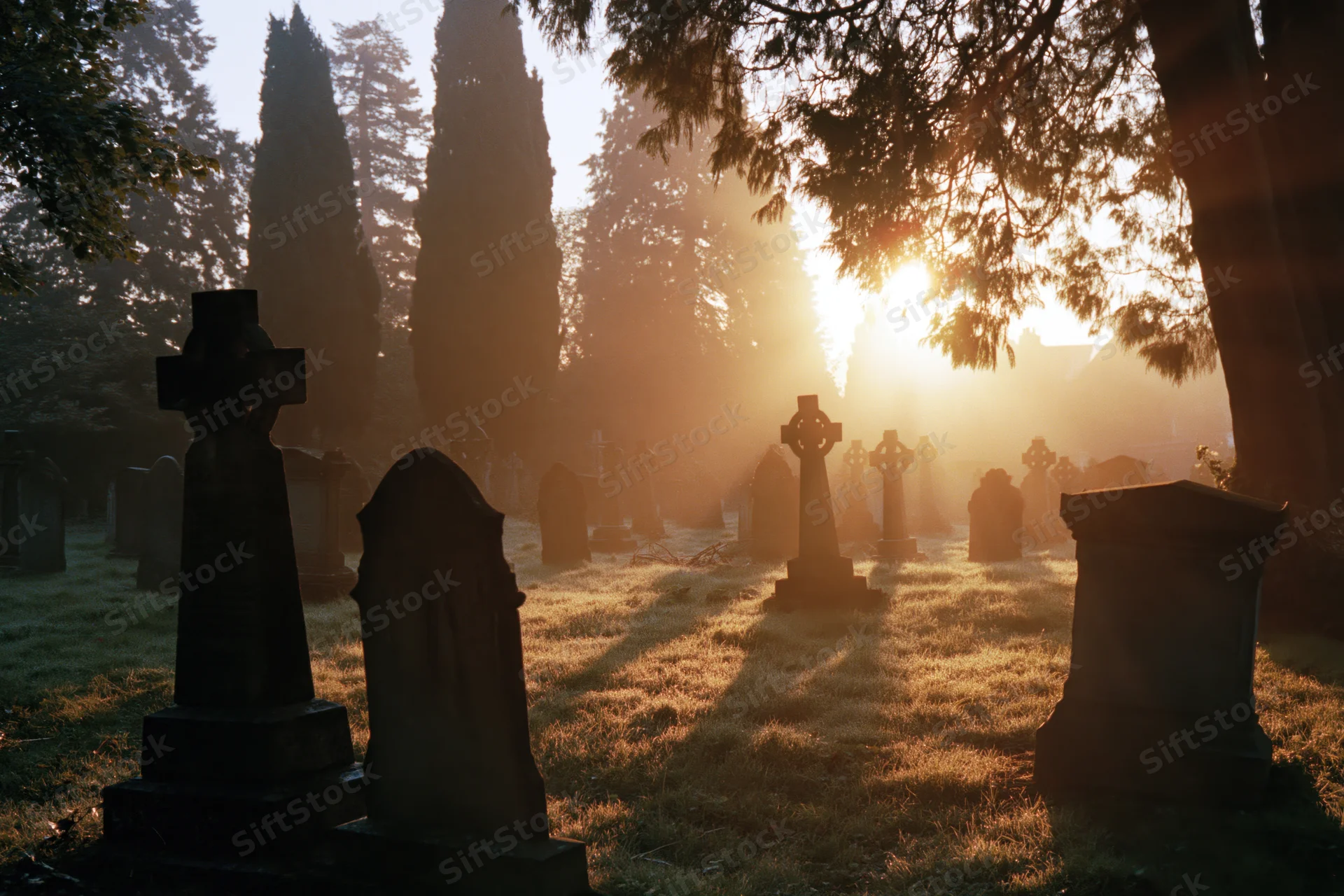 Rows of dark stone grave markers in an old english cemetery at dawn with sunlight filtering through trees
