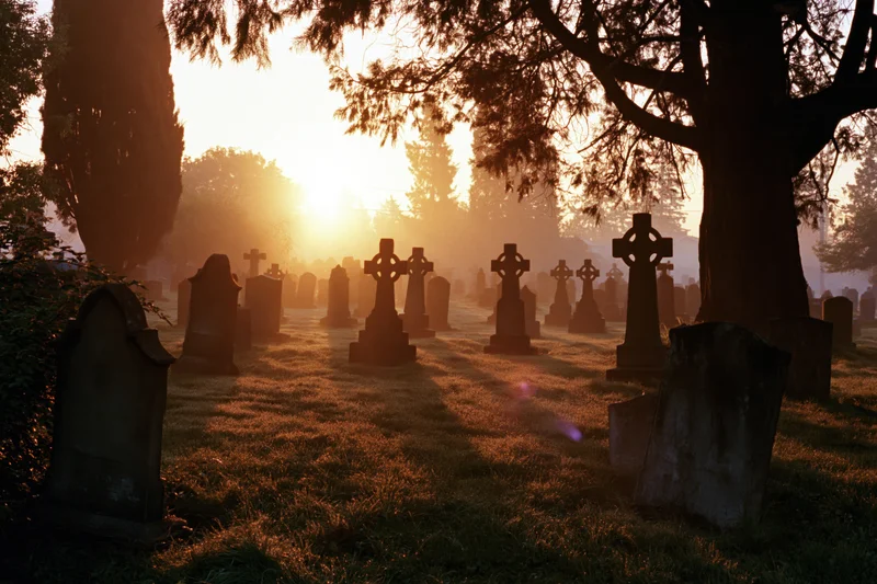 Rows of stone gravestones in a misty cemetery at dawn with trees and soft sunlight