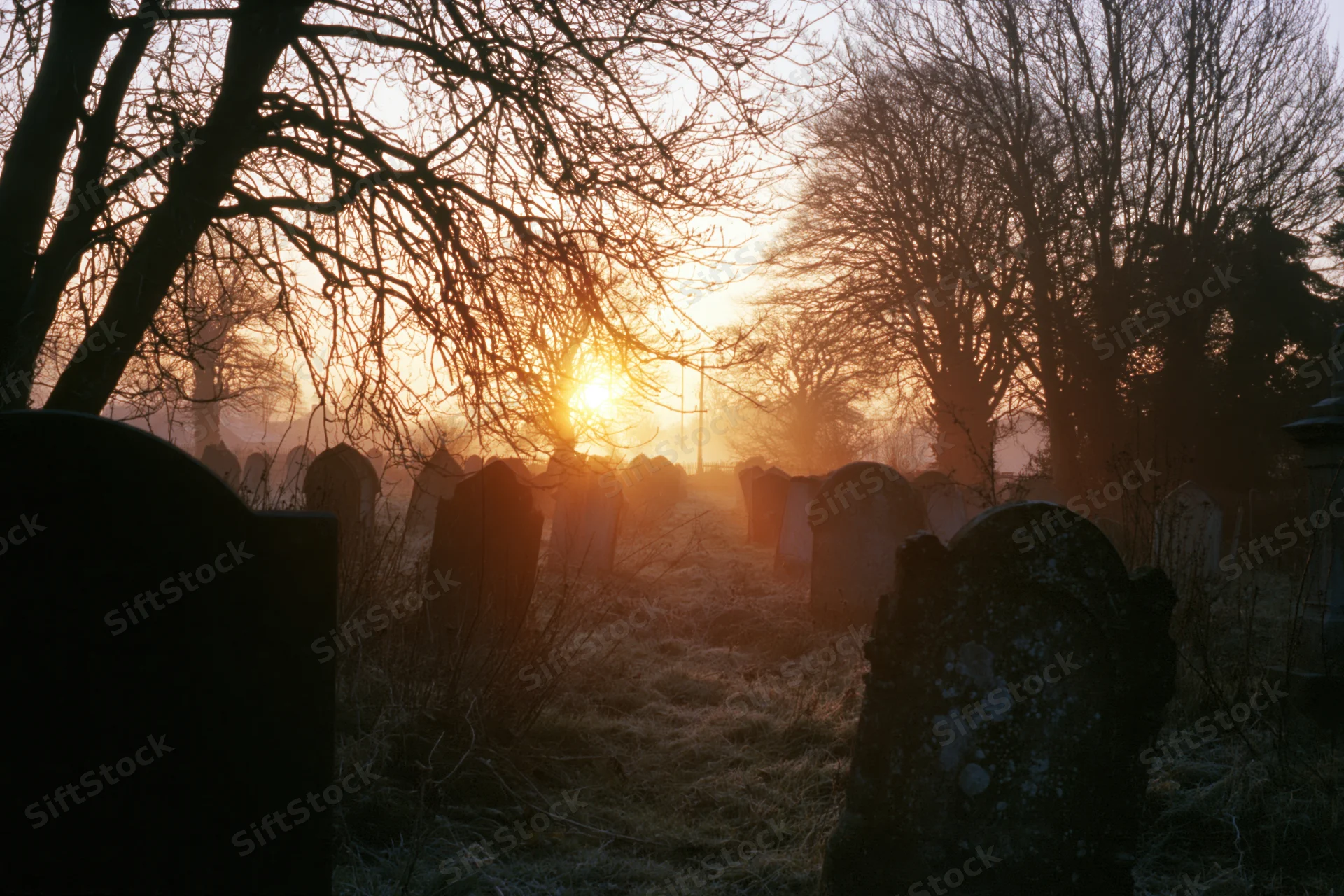 Rows of weathered tombstones in a foggy graveyard at dawn with bare trees silhouetted against the rising sun
