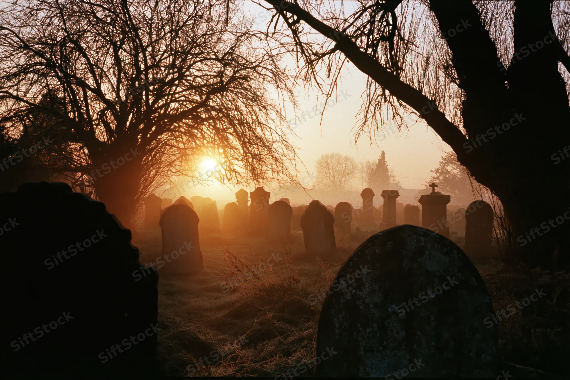 Rows of weathered tombstones in an old english graveyard at dawn with mist and silhouetted trees