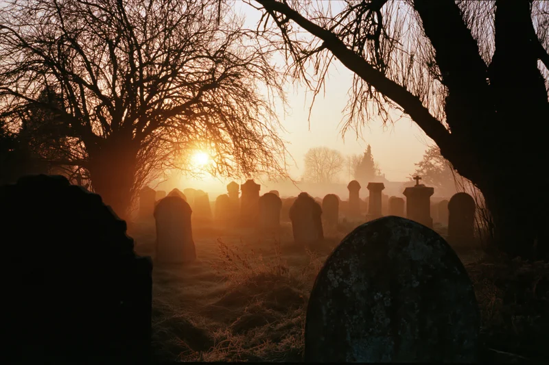 Rows of weathered tombstones in an old english graveyard at dawn with mist and silhouetted trees