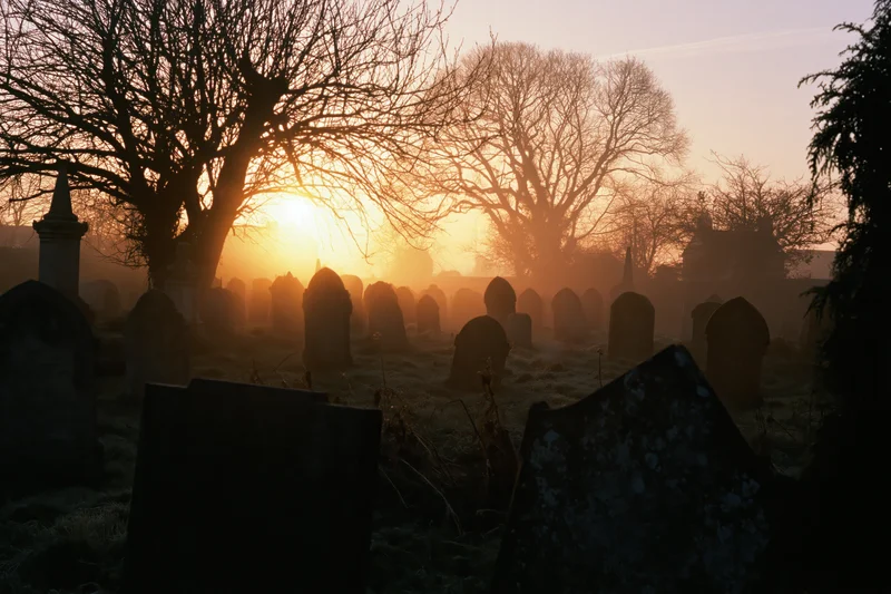 Rows of weathered tombstones in a misty old english graveyard at dawn with bare trees silhouetted against the rising sun