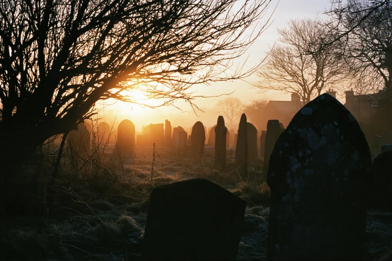 Silhouetted tombstones in a frosty graveyard at dawn with bare trees and misty sky