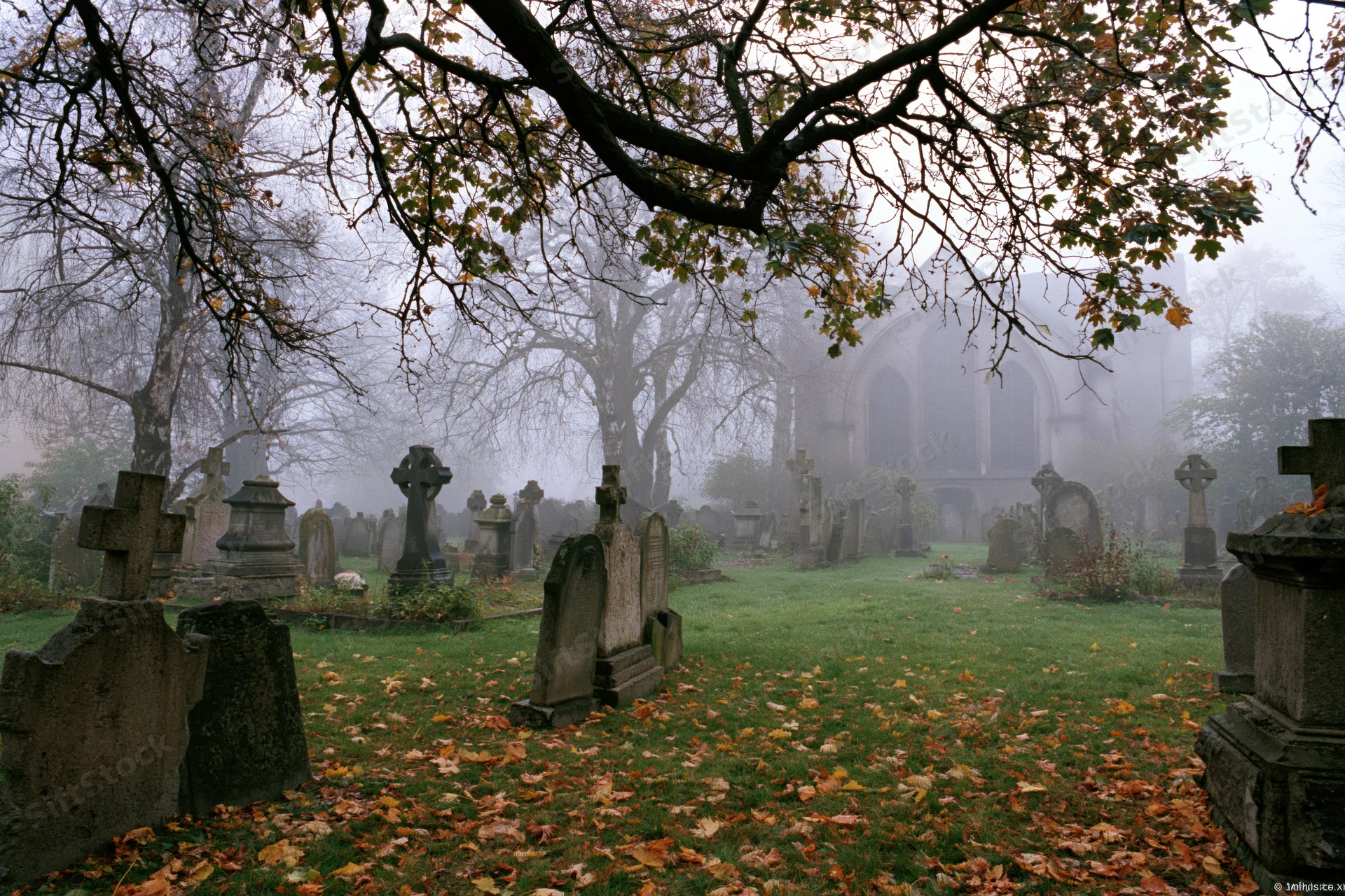 Foggy autumn morning in an old european cemetery with stone tombstones and trees