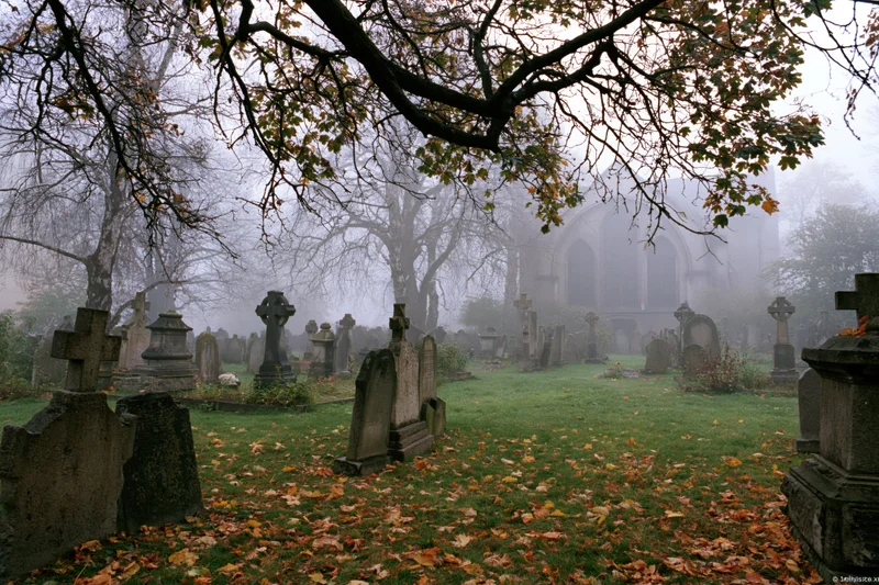 Foggy autumn morning in an old european cemetery with stone tombstones and trees