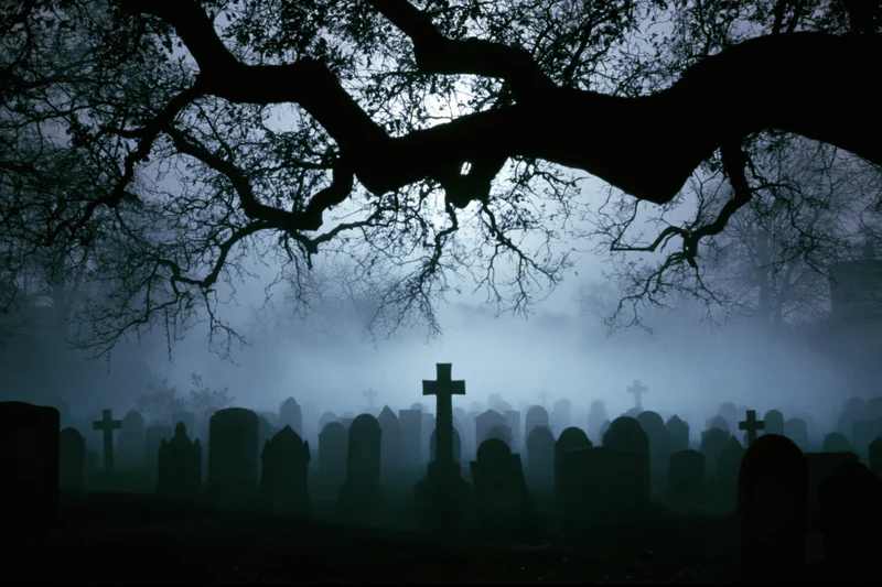 Foggy cemetery at night with silhouetted headstones and bare tree branches overhead