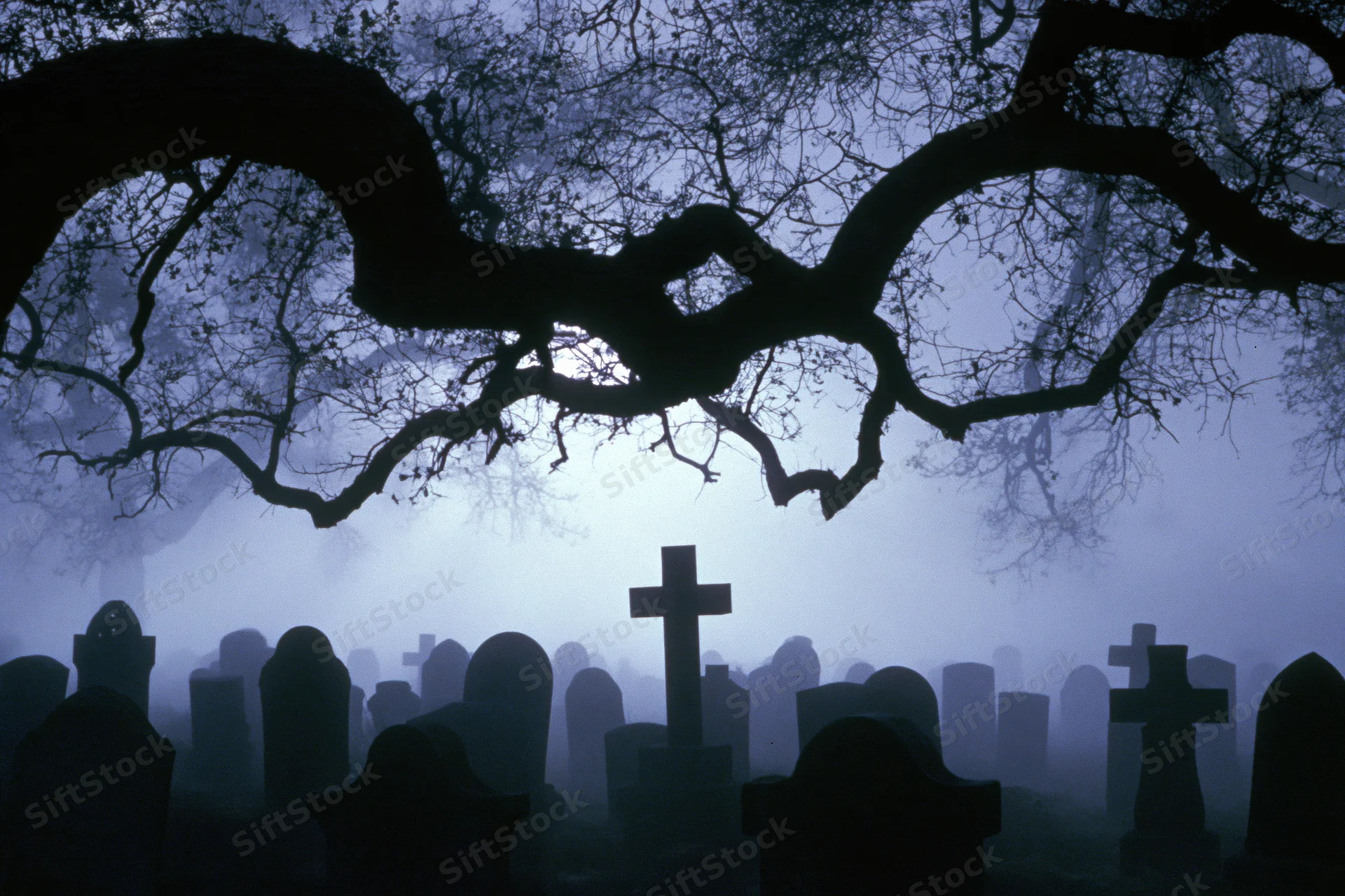 Silhouetted headstones and gnarled tree branches in a foggy cemetery at night