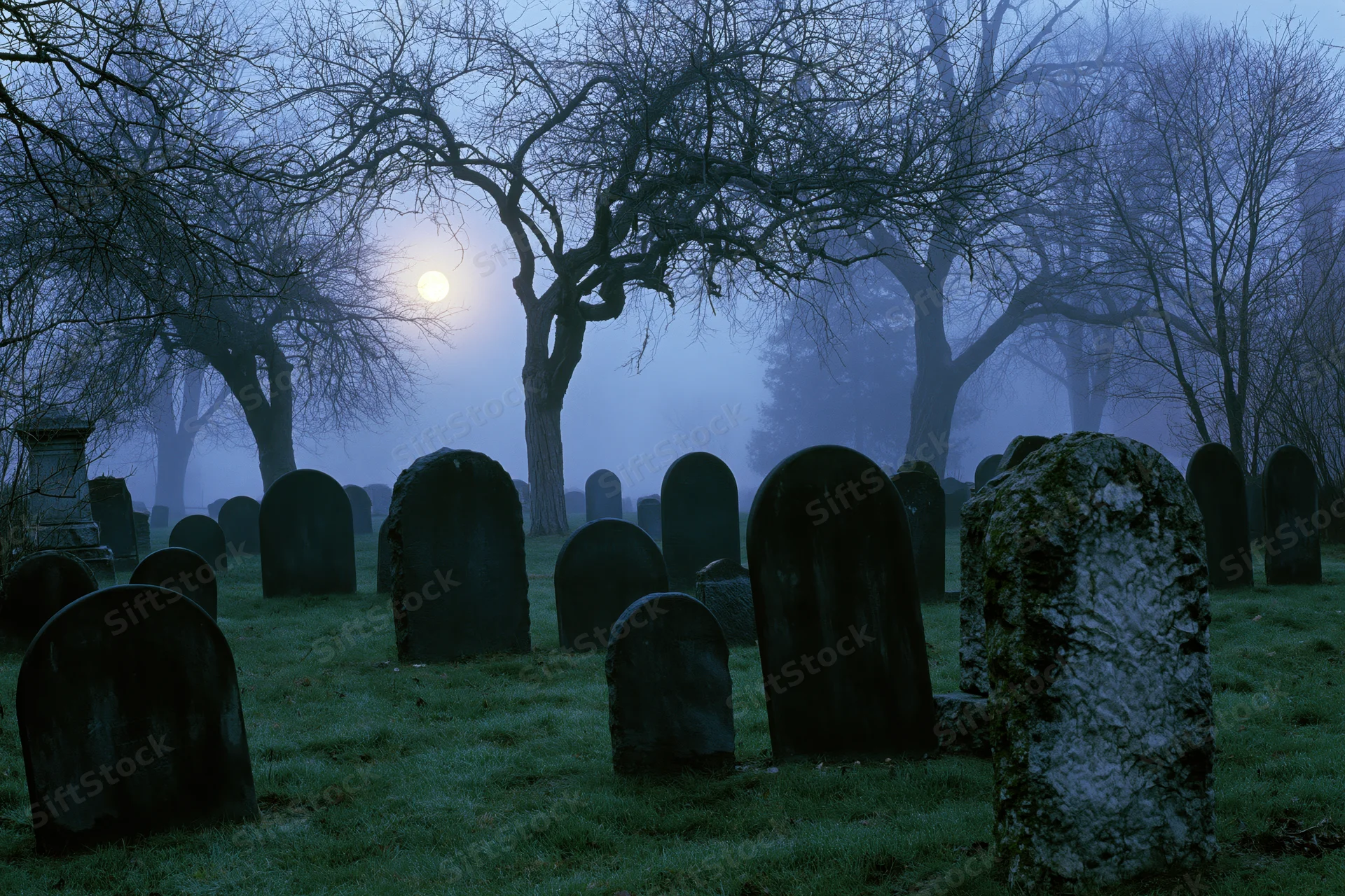 Old cemetery with weathered tombstones and bare trees under moonlight in fog