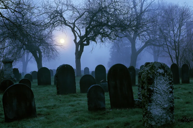 Old cemetery with weathered tombstones and bare trees under moonlight in fog