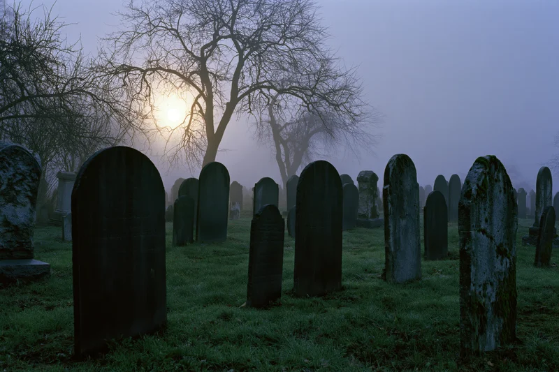Rows of weathered stone tombstones in a foggy cemetery at twilight with bare trees and dim light