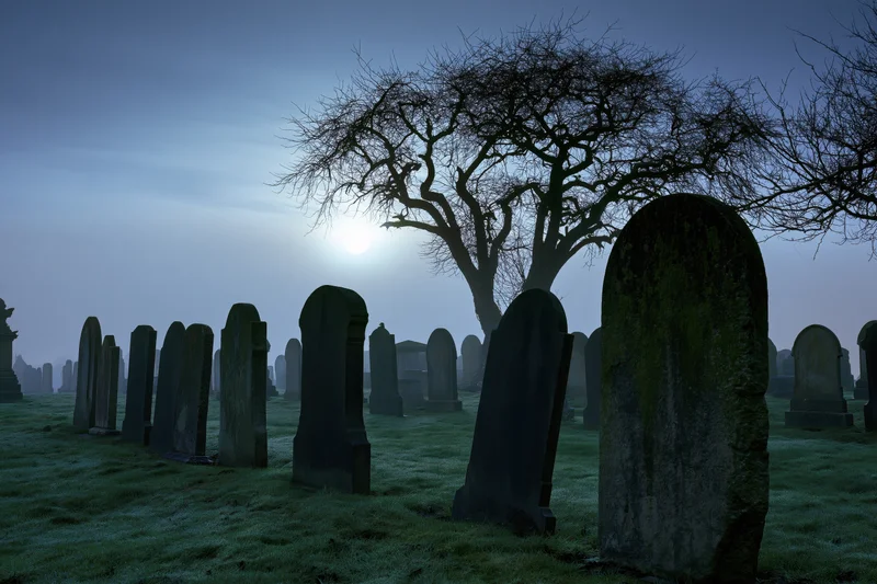 Rows of weathered stone tombstones in a foggy cemetery at night under a bright moon with bare tree silhouettes