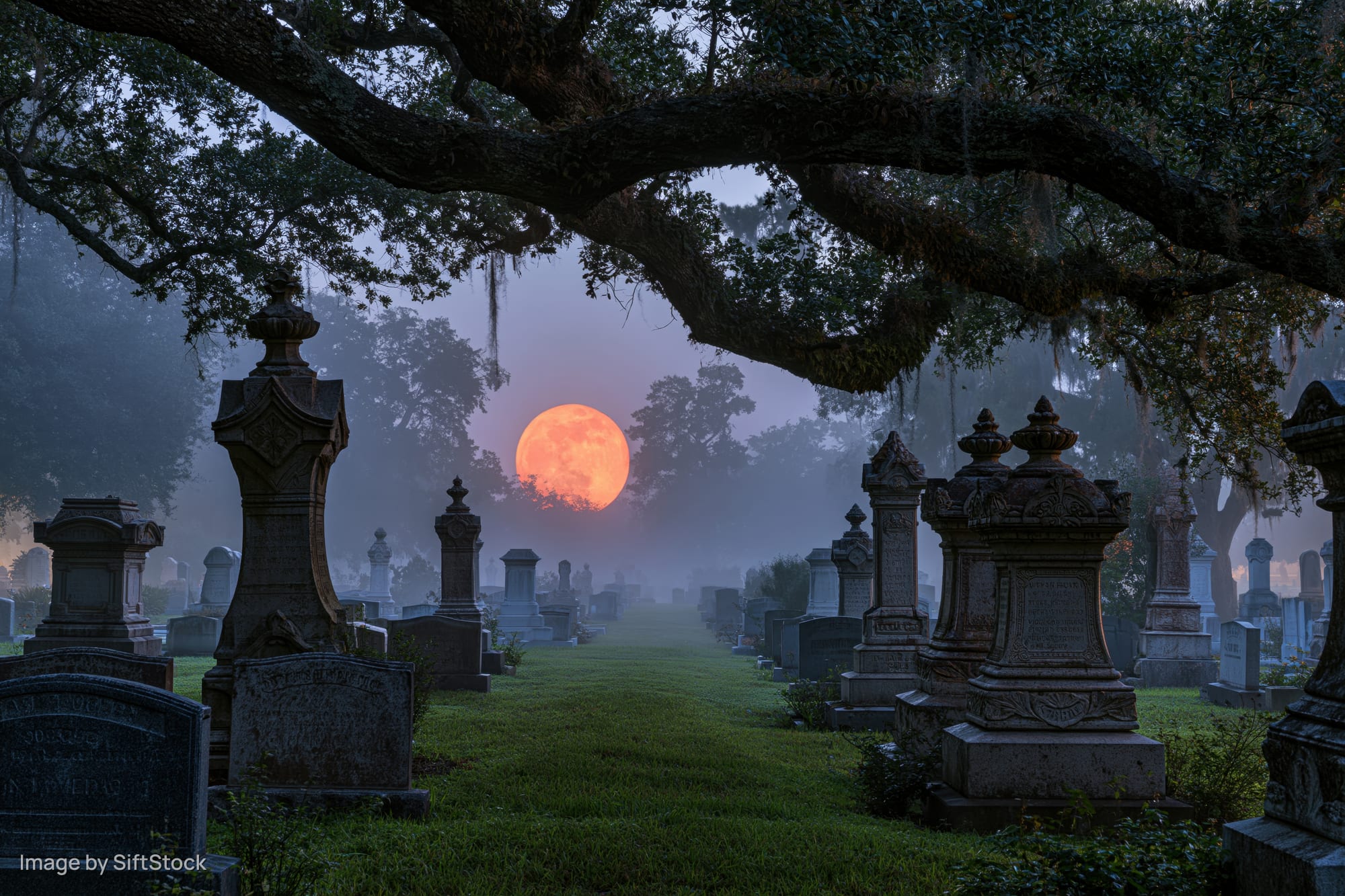Rows of weathered gravestones in a foggy cemetery at night under a full orange moon framed by tree branches