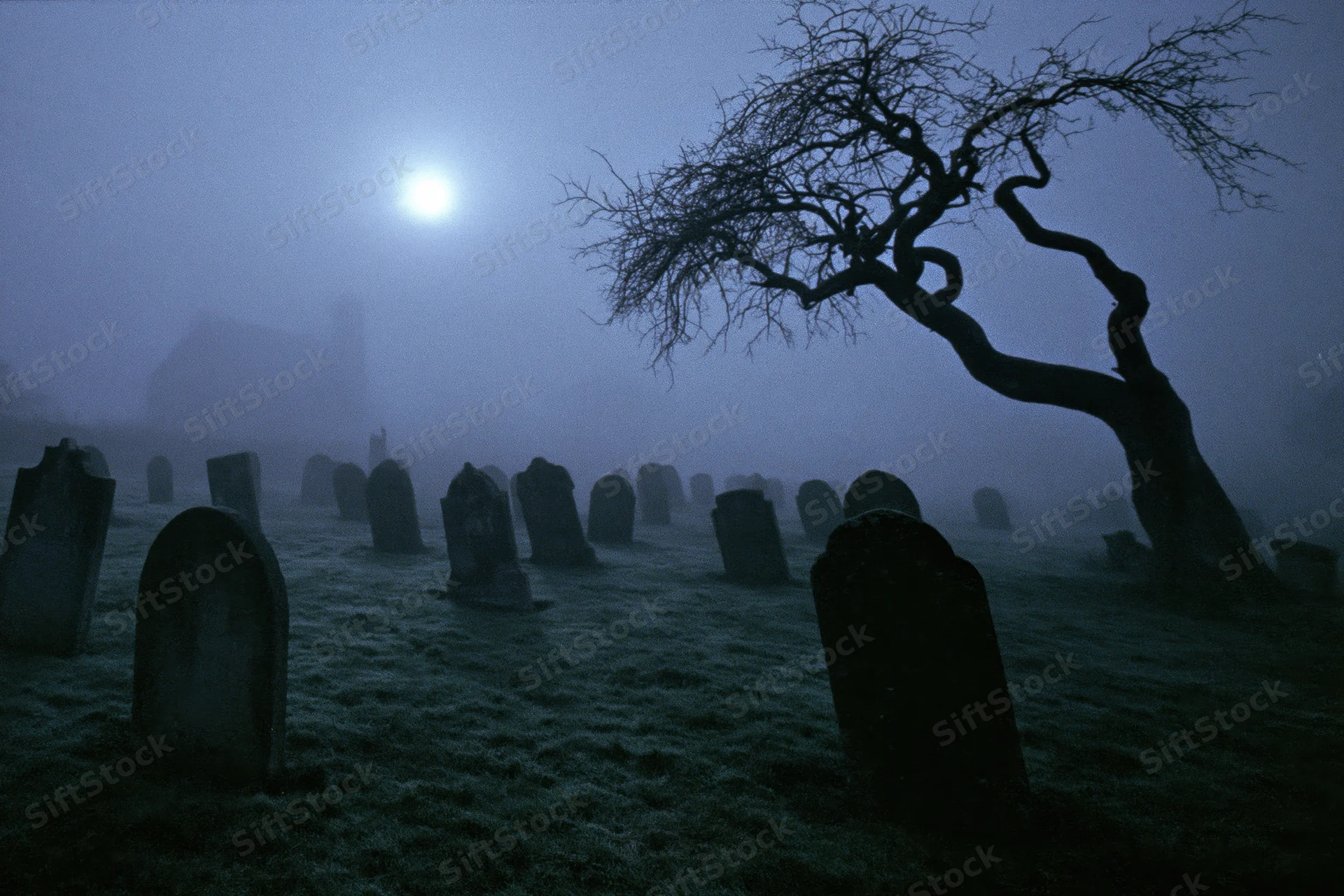 Foggy cemetery with weathered gravestones and a twisted bare tree under moonlight at night