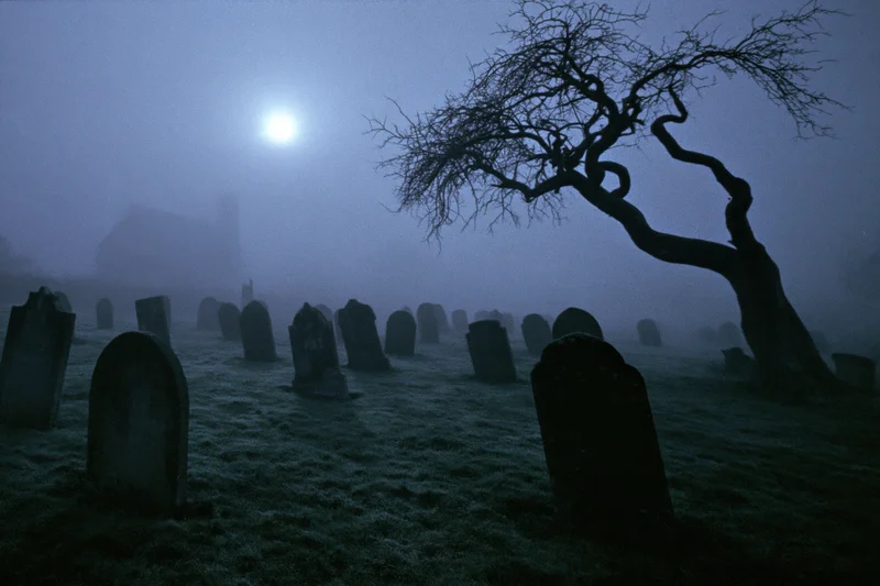 Foggy cemetery with weathered gravestones and a twisted bare tree under moonlight at night
