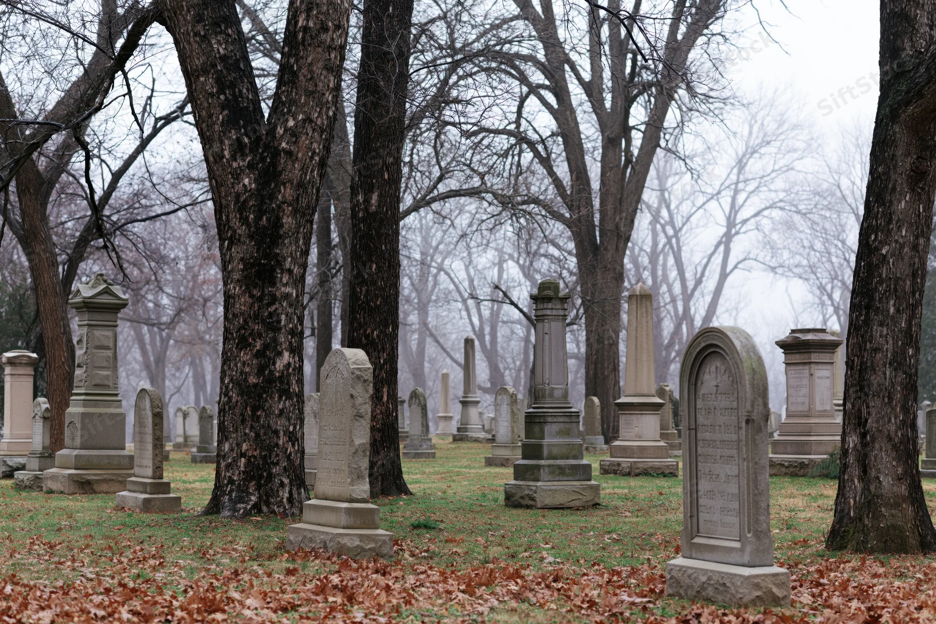 Old gravestones scattered among bare trees in a foggy cemetery during late autumn