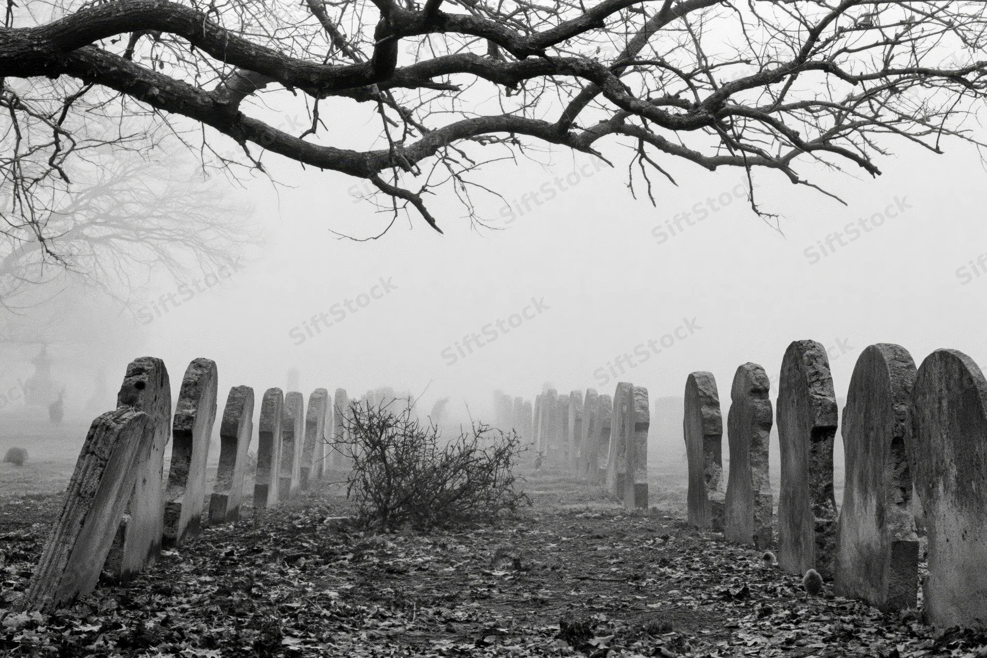 Rows of weathered stone gravestones in a foggy cemetery under bare tree branches