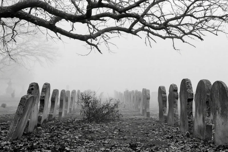 Rows of weathered stone gravestones in a foggy cemetery under bare tree branches