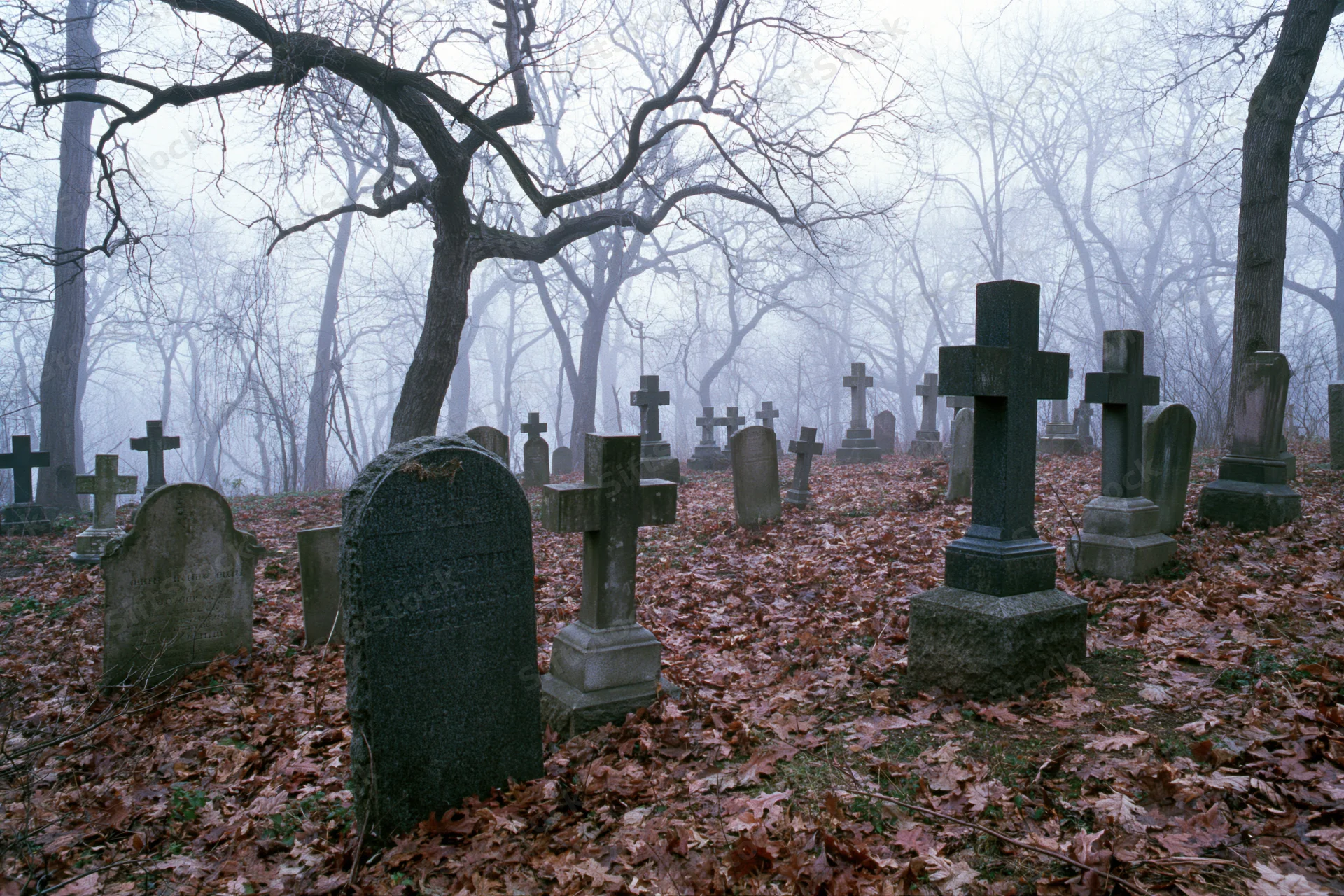 Foggy old cemetery with weathered stone tombstones and crosses among bare trees and fallen leaves