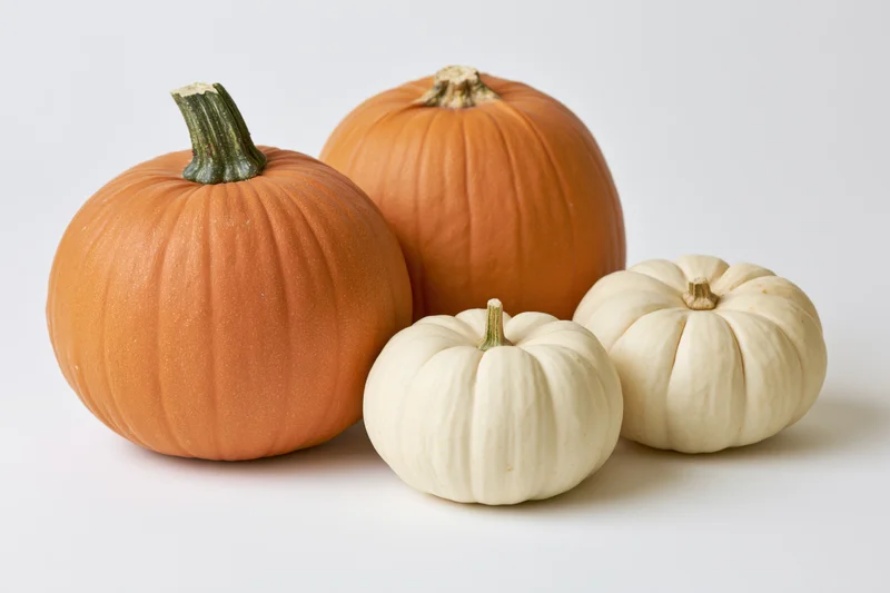 Four pumpkins of varying sizes and colors arranged on a white surface