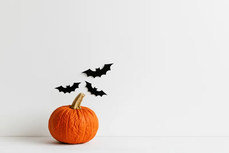 Orange pumpkin with black paper bat cutouts on white surface