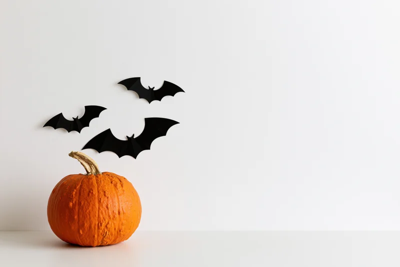 Orange pumpkin with black paper bat cutouts on white wall and surface