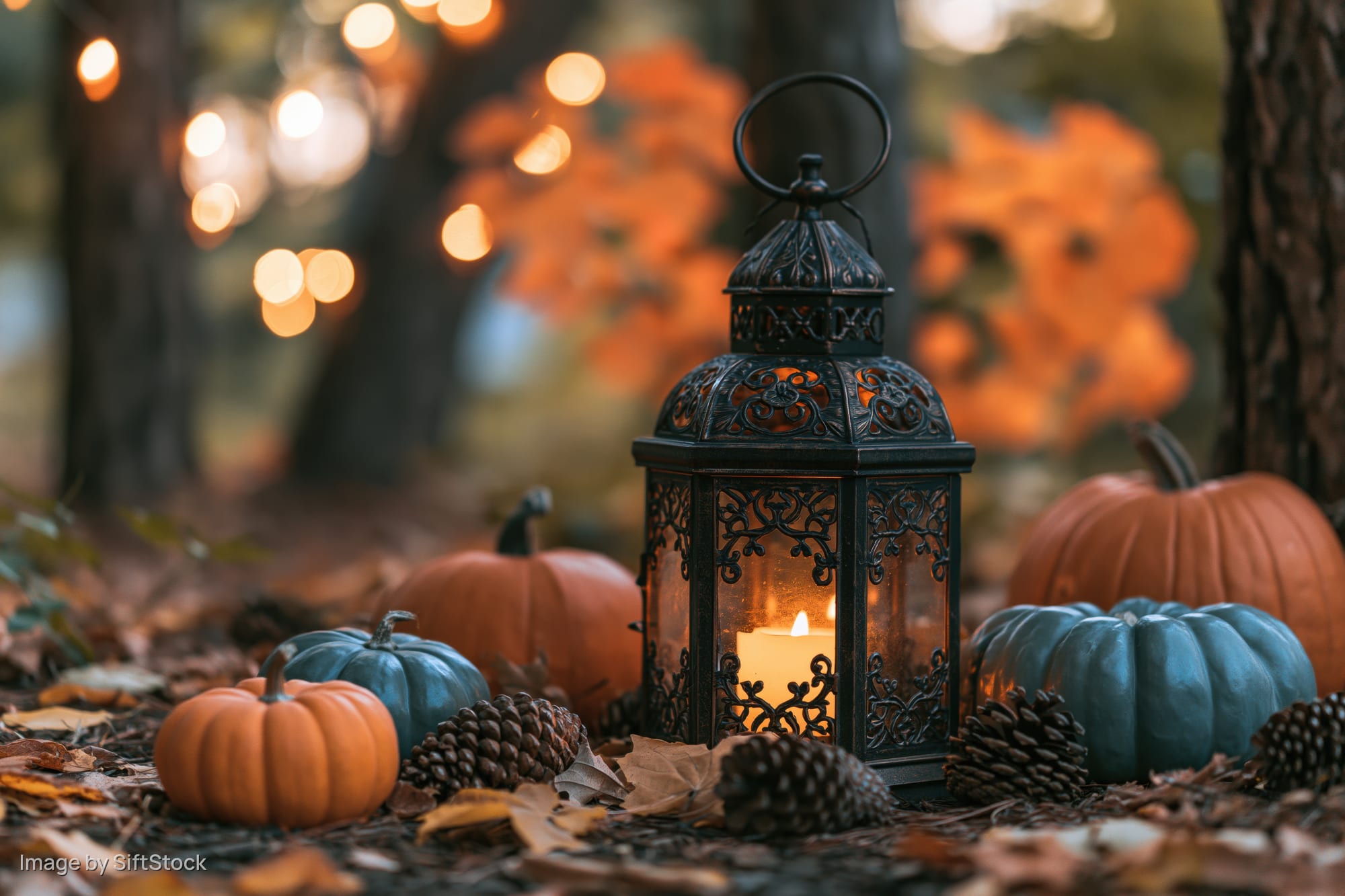 Ornate metal lantern with glowing candle surrounded by pumpkins and pinecones on forest floor at dusk