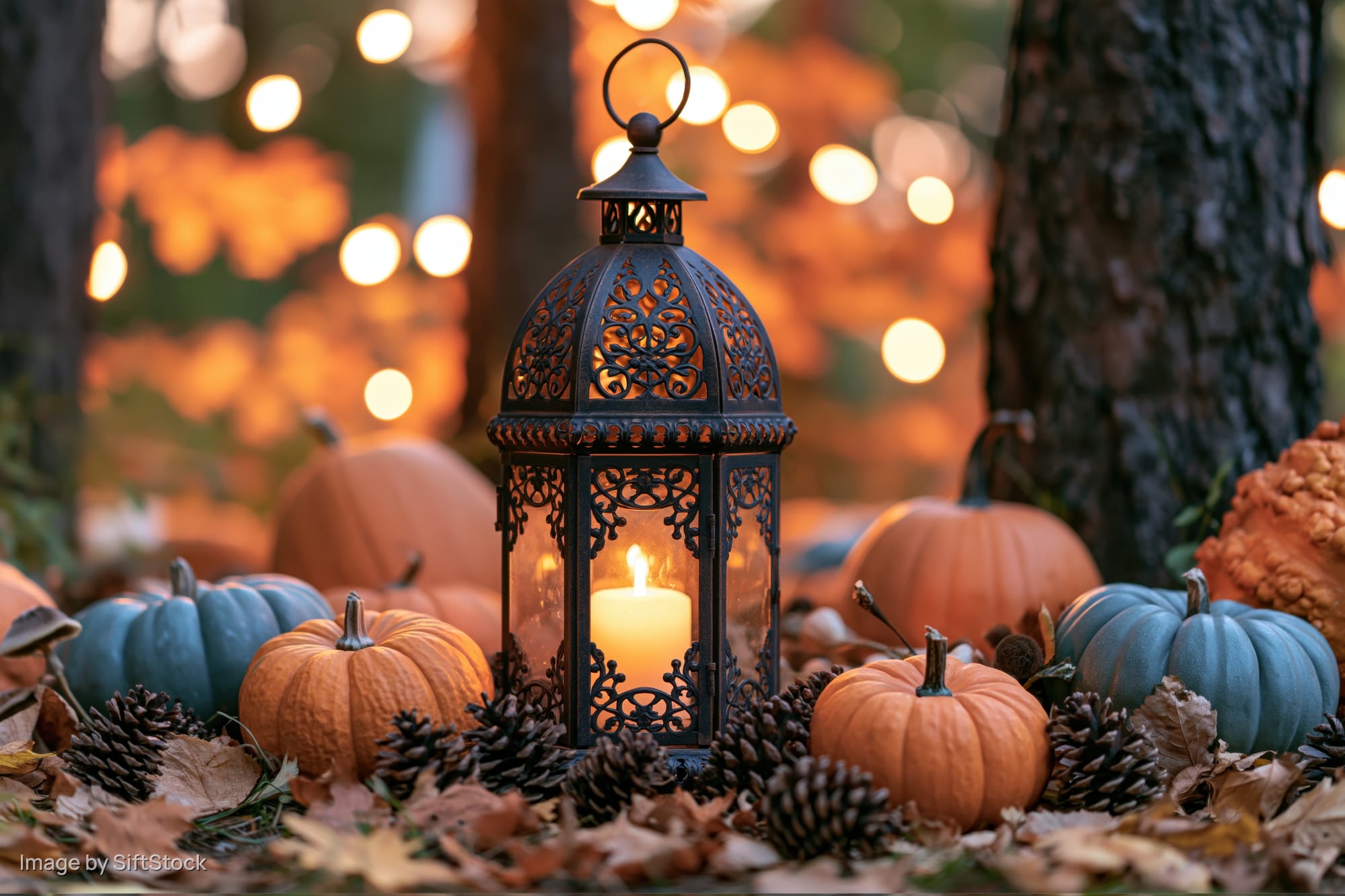 Ornate metal lantern with glowing candle surrounded by pumpkins and pinecones in a forest at twilight