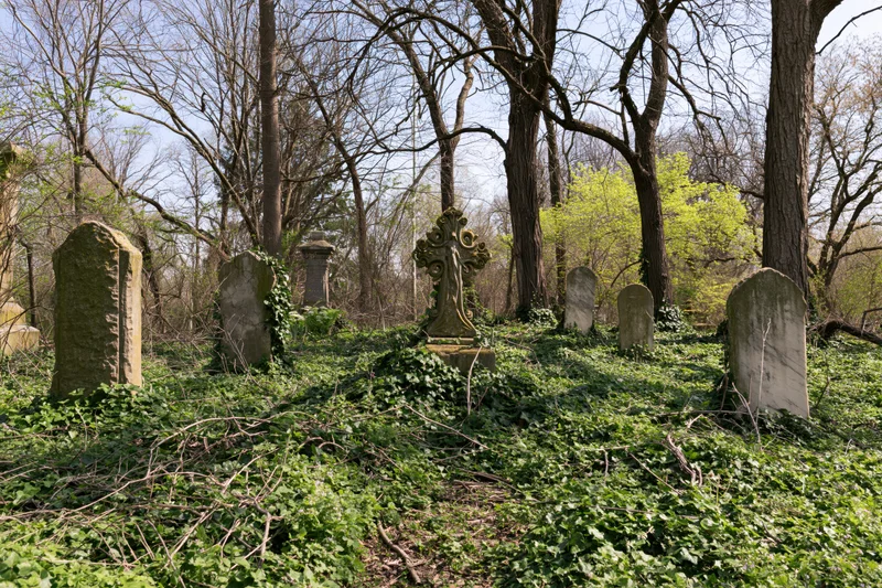 Overgrown victorian cemetery with weathered stone gravestones among bare trees and ivy-covered ground