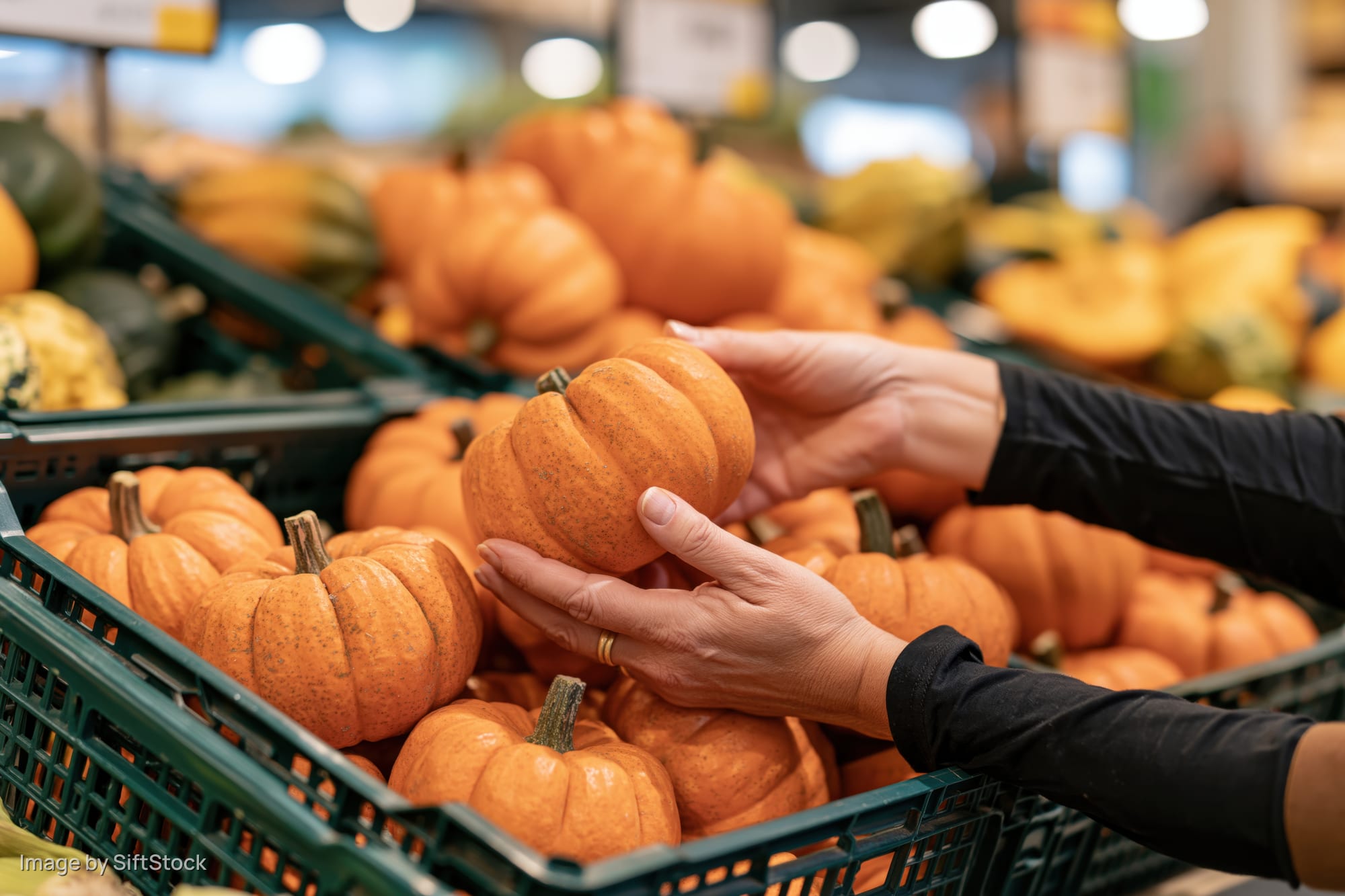 Woman's hands picking a small orange pumpkin from a basket in a supermarket produce section