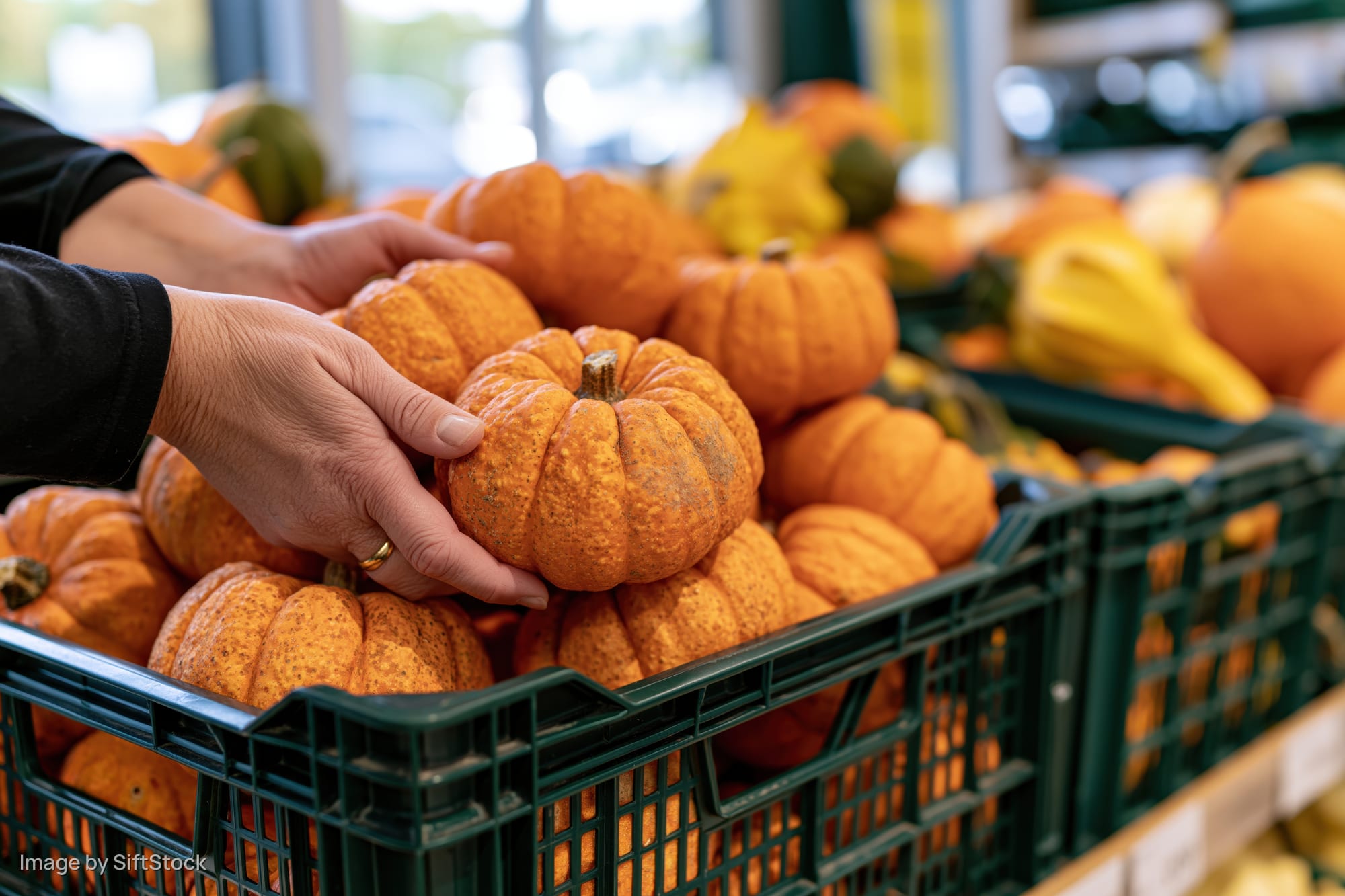 Hands selecting a small orange pumpkin from a green crate in a grocery store produce section