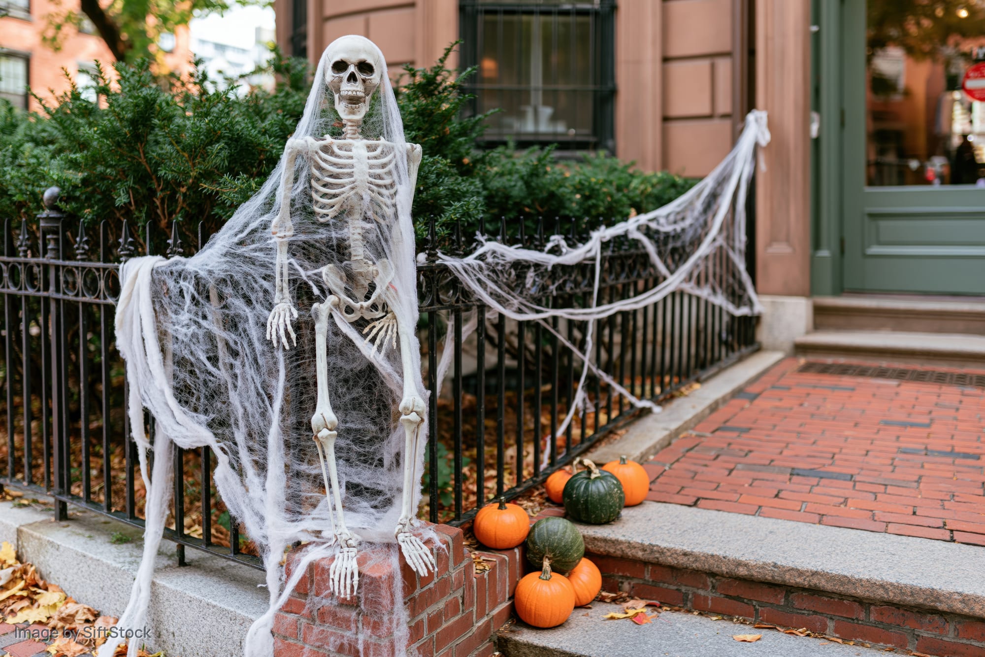 Plastic skeleton draped in fake cobwebs on brick steps beside pumpkins in front yard