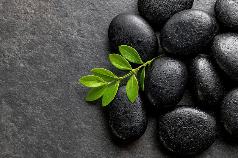 Polished black basalt spa stones arranged in a cluster with a green leaf sprig on a dark slate surface
