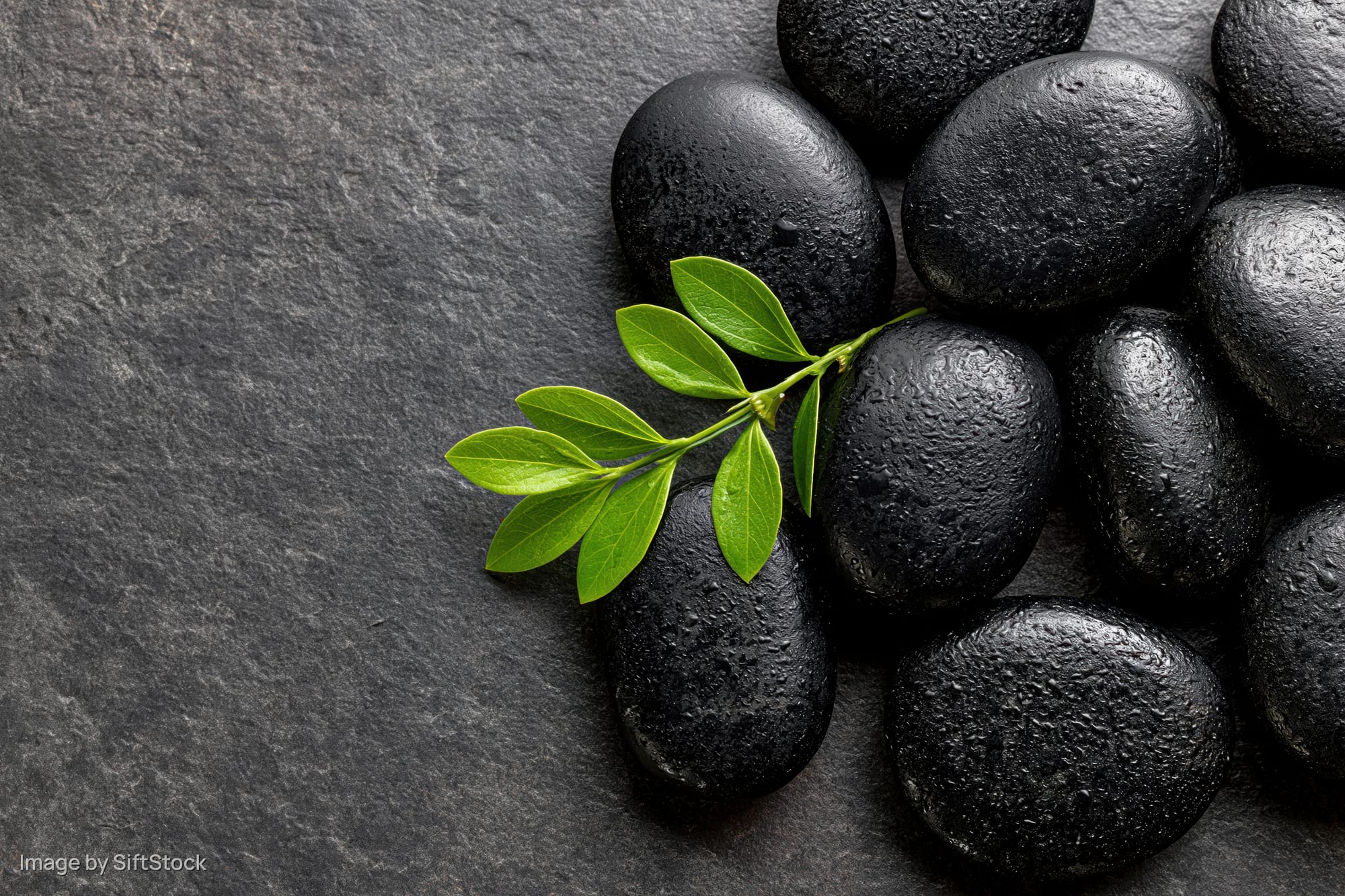 Polished black basalt spa stones arranged in a cluster with a green leaf sprig on a dark slate surface