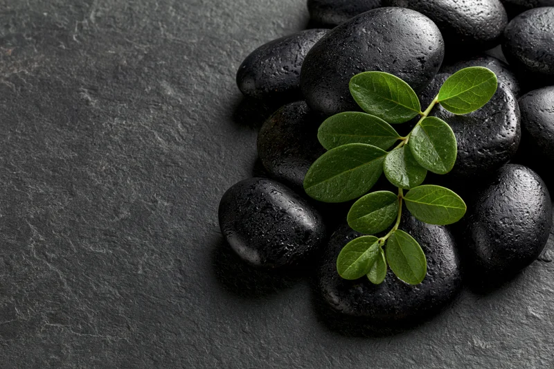 Polished black basalt spa stones arranged in a cluster with a green leaf sprig on a dark slate surface