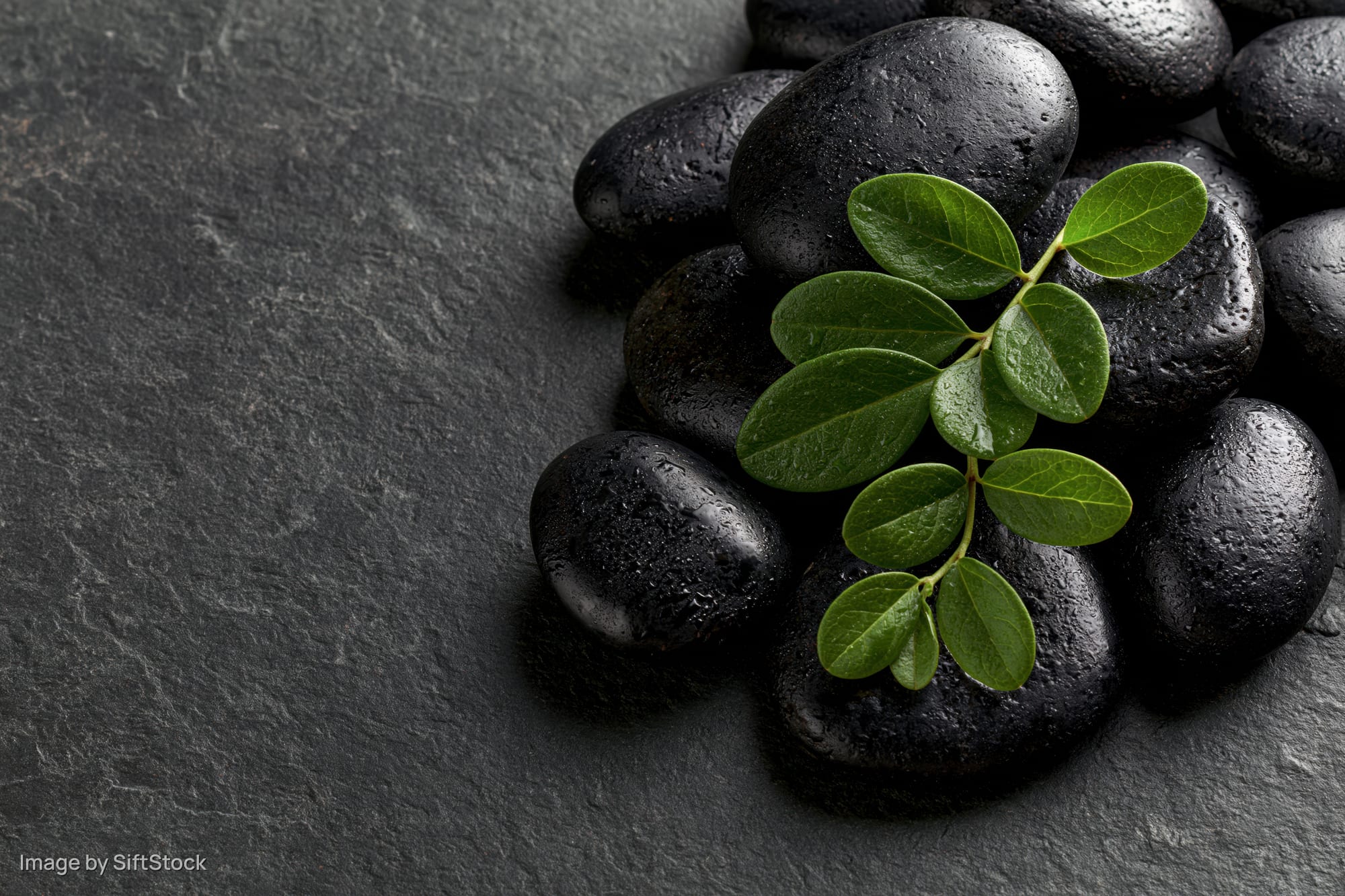Polished black basalt spa stones arranged in a cluster with a green leaf sprig on a dark slate surface